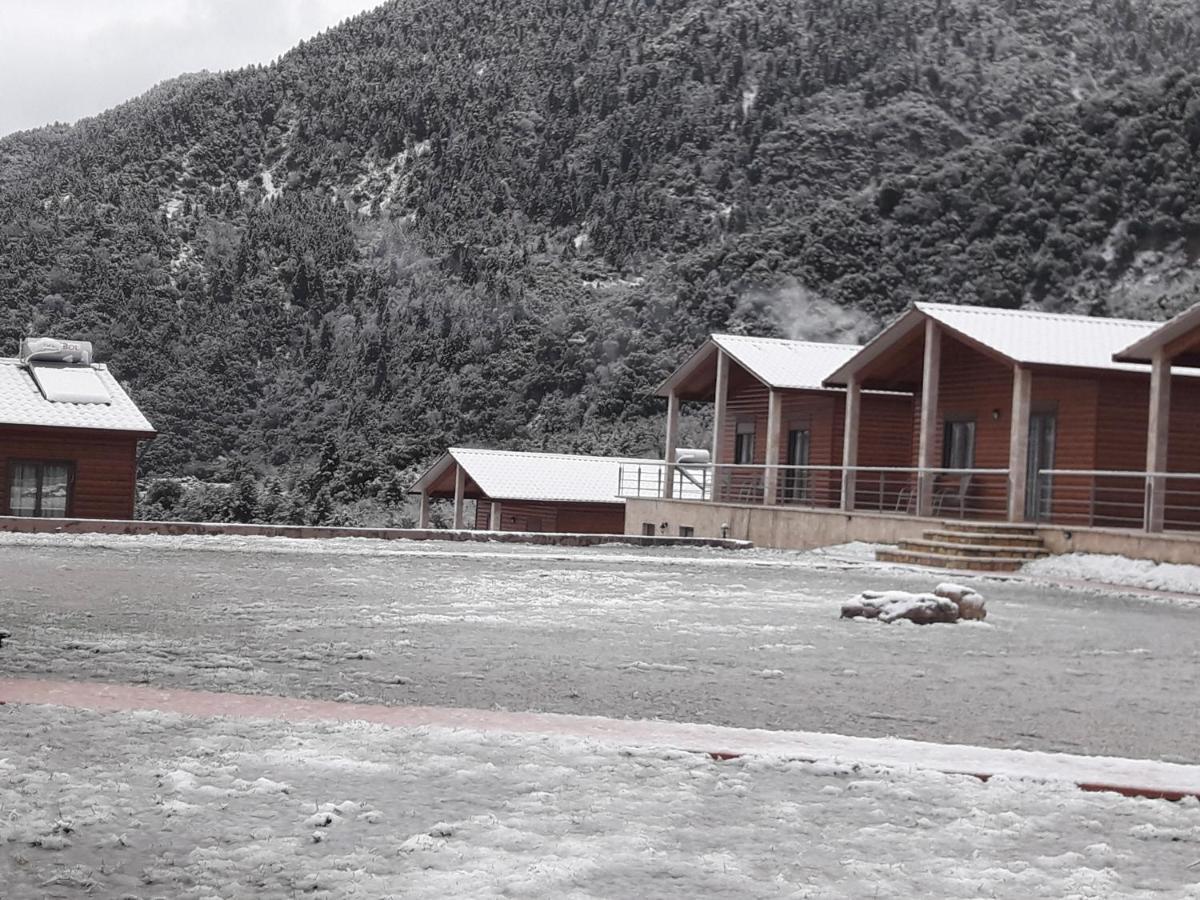 Kedros Chalet Agios Dimitrios  Zewnętrze zdjęcie